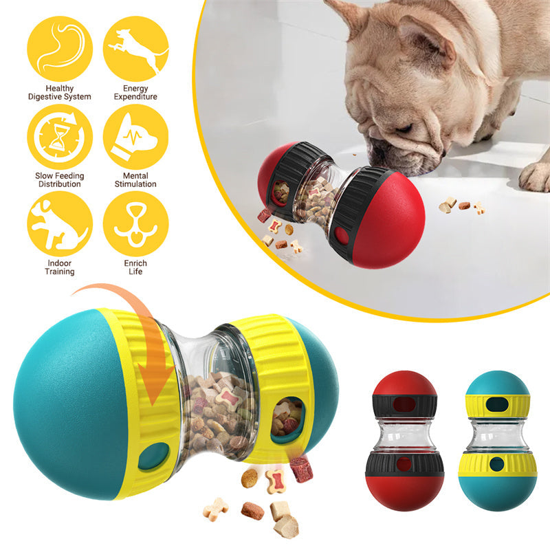 collection dog treat